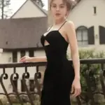 Vicky Model